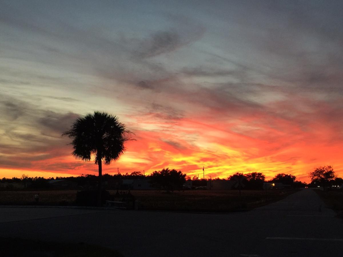 Woody'S Rv Resort Llc Sebring Exteriör bild